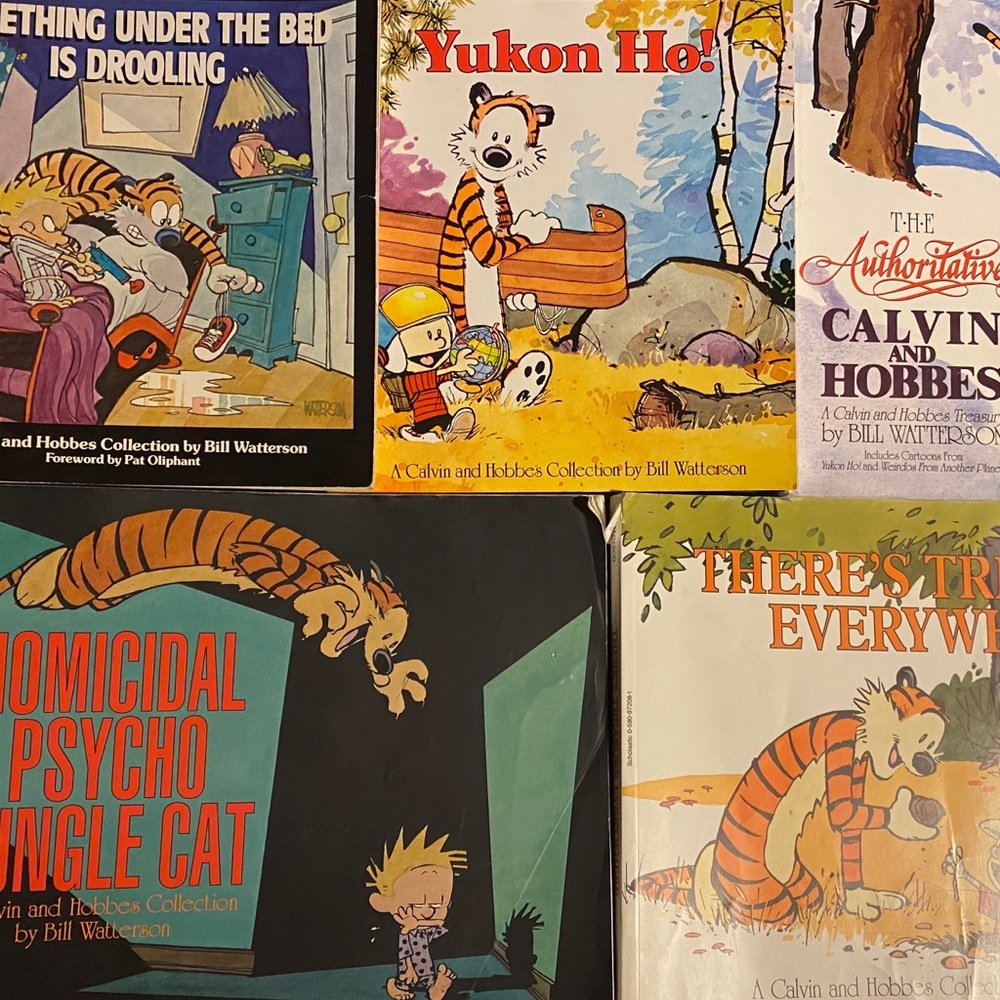 Calvin and Hobbes books